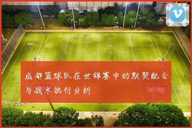 成都篮球队在世锦赛中的默契配合与战术执行分析
