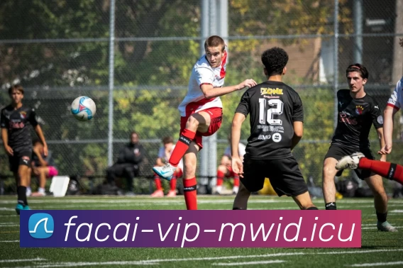 MK体育服务体系