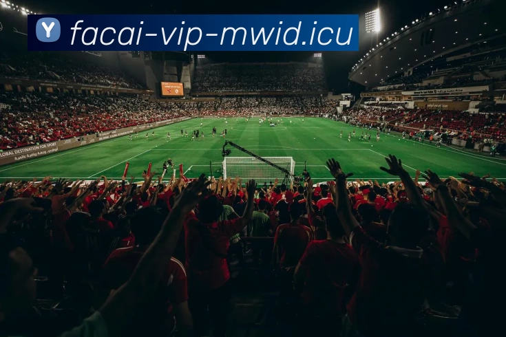 多媒体互动体验